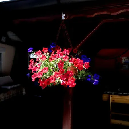 релакс Guest house Pavel Banya