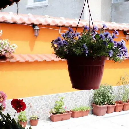 релакс Guest house Pavel Banya